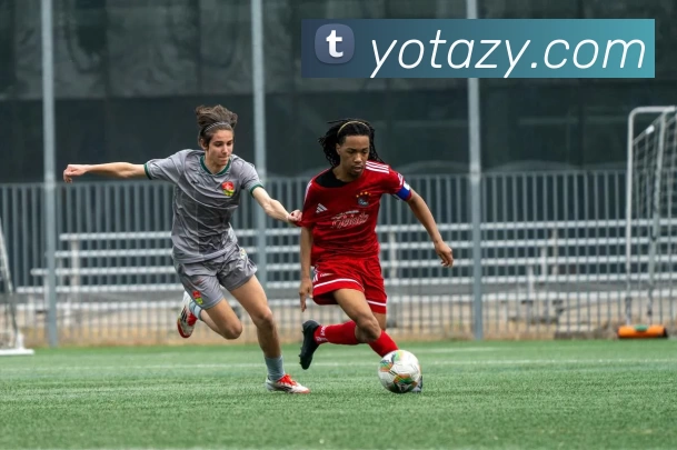 体育App